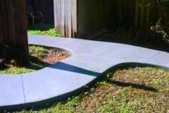 concrete-gold-coast-path1